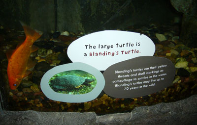 Earth World turtle tank sign