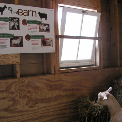 MN Zoo graphics in barn